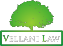 Villani Law
